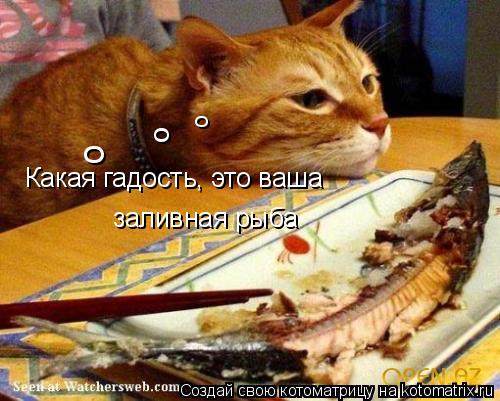 Котоматрица: Какая гадость, это ваша  заливная рыба о о о