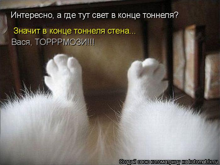 Котоматрица: Интересно, а где тут свет в конце тоннеля? Значит в конце тоннеля стена... Вася, ТОРРРМОЗИ!!!