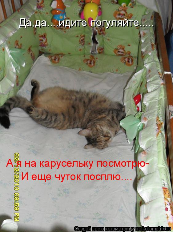 Котоматрица: Да,да....идите погуляйте..... А я на карусельку посмотрю- И еще чуток посплю....
