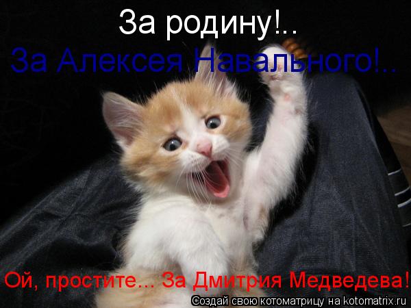 Котоматрица: За родину!.. За Алексея Навального!.. Ой, простите... За Дмитрия Медведева!