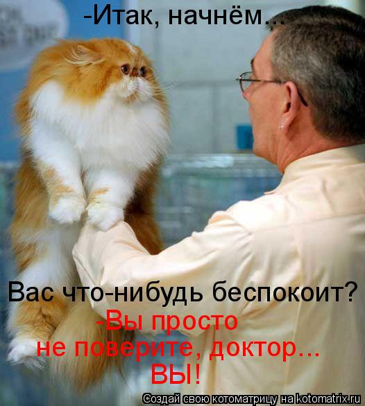 ВЫ! не поверите, доктор... -Вы просто -Итак, начнём... Вас что-нибудь беспокоит?... Котоматрица: ВЫ! не поверите, доктор... -Вы просто -Итак, начнём... Вас что-нибудь беспокоит?