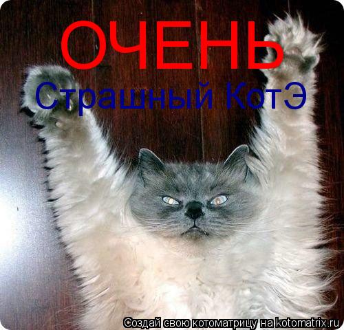 ОЧЕНЬ Страшный КотЭ... Котоматрица: ОЧЕНЬ Страшный КотЭ