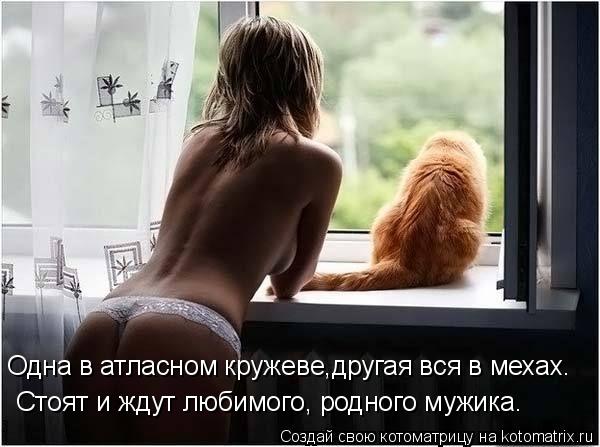 Одна в атласном кружеве,другая вся в мехах. Стоят и ждут любимого, родного мужика.... Котоматрица: Одна в атласном кружеве,другая вся в мехах. Стоят и ждут любимого, родного мужика.