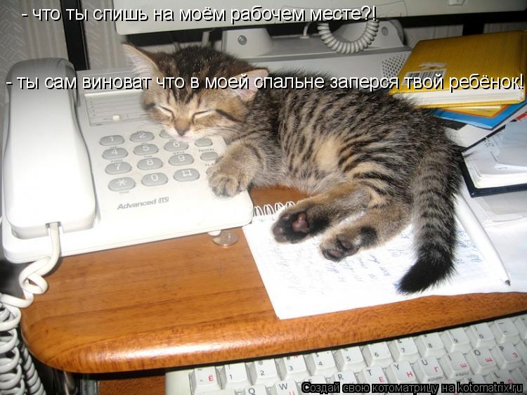 - что ты спишь на моём рабочем месте?! - что ты спишь на моём рабочем месте?! - ты сам виноват что в ... Котоматрица: - что ты спишь на моём рабочем месте?! - что ты спишь на моём рабочем месте?! - ты сам виноват что в моей спальне заперся твой ребёнок! - ты сам ви