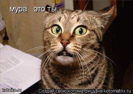 мура это ты... Котоматрица: мура это ты