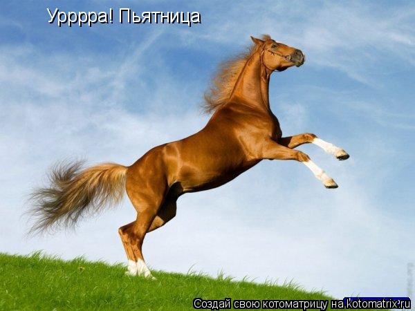 Урррра! Пьятница... Котоматрица: Урррра! Пьятница