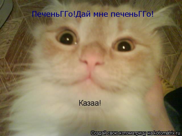 Котоматрица: ПеченьГГо!Дай мне печеньГГо! Казаа!