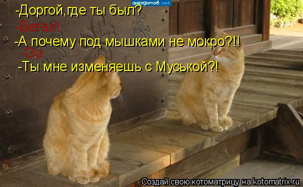 -Доргой,где ты был? -Бегал! -А почему под мышками не мокро?!! -Ээ -Ты мне изменяешь с Муськой?!... Котоматрица: -Доргой,где ты был? -Бегал! -А почему под мышками не мокро?!! -Ээ -Ты мне изменяешь с Муськой?!