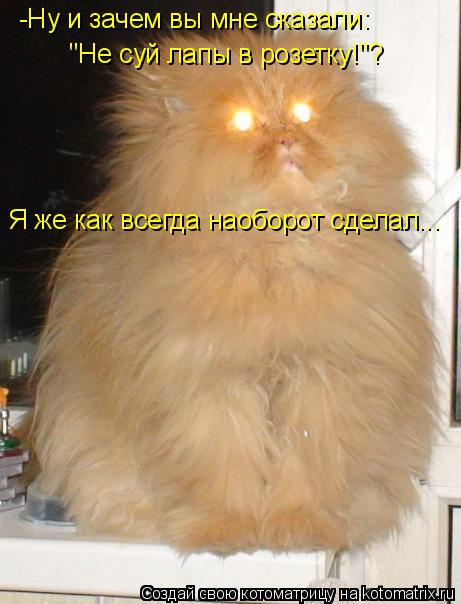 -Ну и зачем вы мне сказали: "Не суй лапы в розетку!"? Я же как всегда наоборот сделал...... Котоматрица: -Ну и зачем вы мне сказали: "Не суй лапы в розетку!"? Я же как всегда наоборот сделал...