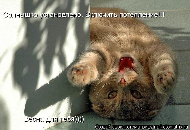 Солнышко установлено. Включить потепление!!! Весна для тебя))))... Котоматрица: Солнышко установлено. Включить потепление!!! Весна для тебя))))