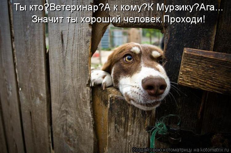 Ты кто?Ветеринар?А к кому?К Мурзику?Ага... Значит ты хороший человек.Проходи!... Котоматрица: Ты кто?Ветеринар?А к кому?К Мурзику?Ага... Значит ты хороший человек.Проходи!