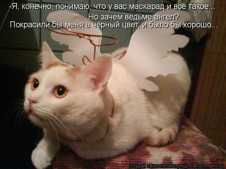 -Я, конечно, понимаю, что у вас маскарад и всё такое... Но зачем ведьме ангел? Покрасили бы меня в чё... Котоматрица: -Я, конечно, понимаю, что у вас маскарад и всё такое... Но зачем ведьме ангел? Покрасили бы меня в чёрный цвет, и было бы хорошо...