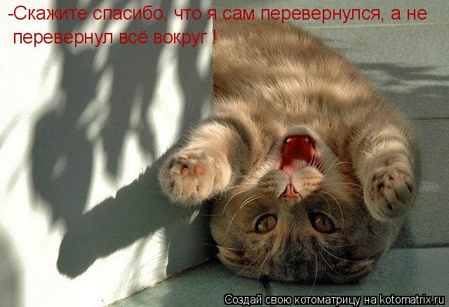 -Скажите спасибо, что я сам перевернулся, а не перевернул всё вокруг !... Котоматрица: -Скажите спасибо, что я сам перевернулся, а не перевернул всё вокруг !