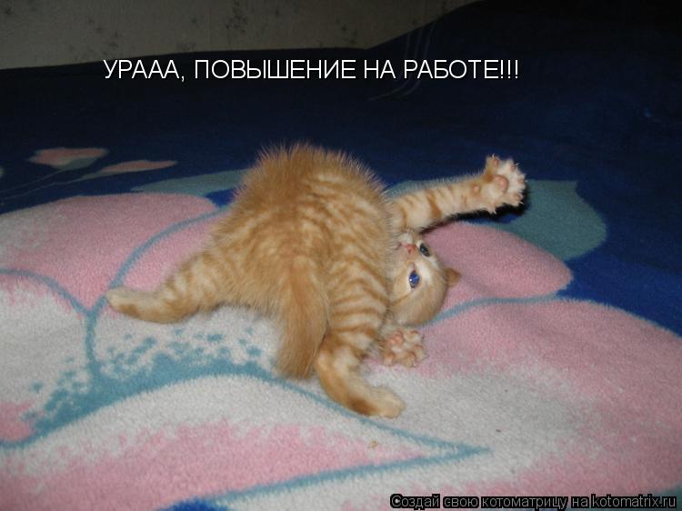 УРААА, ПОВЫШЕНИЕ НА РАБОТЕ!!!... Котоматрица: УРААА, ПОВЫШЕНИЕ НА РАБОТЕ!!!