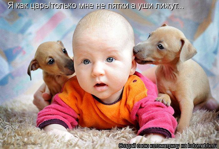 Я как царь!только мне не пятки а уши лижут...... Котоматрица: Я как царь!только мне не пятки а уши лижут...