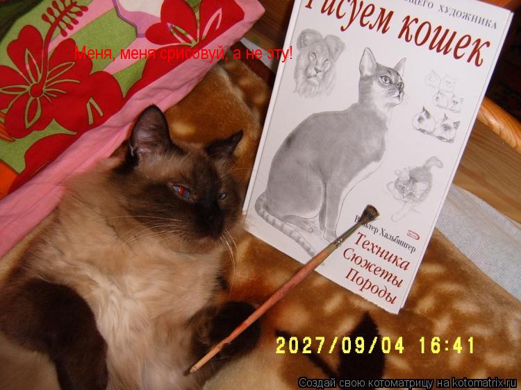 Меня, меня срисовуй, а не эту!... Котоматрица: Меня, меня срисовуй, а не эту!