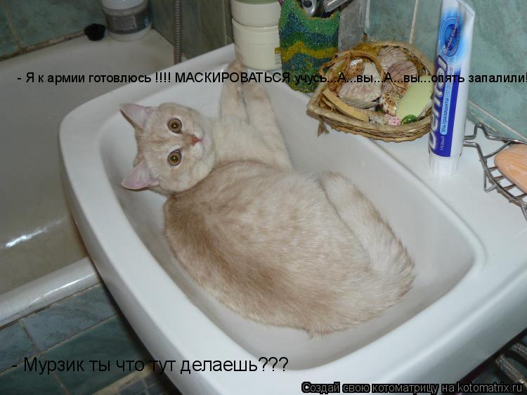 - Мурзик ты что тут делаешь??? - Я к армии готовлюсь !!!! МАСКИРОВАТЬСЯ учусь...А...вы...А...вы...оп... Котоматрица: - Мурзик ты что тут делаешь??? - Я к армии готовлюсь !!!! МАСКИРОВАТЬСЯ учусь...А...вы...А...вы...опять запалили!!!