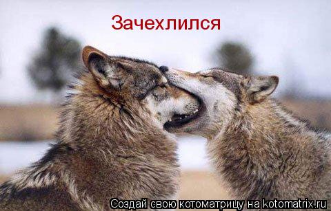 Зачехлился... Котоматрица: Зачехлился