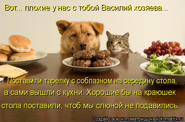 Вот... плохие у нас с тобой Василий хозяева... Поставили тарелку с соблазном на середину стола, а ... Котоматрица: Вот... плохие у нас с тобой Василий хозяева... Поставили тарелку с соблазном на середину стола, а сами вышли с кухни. Хорошие бы на краюшек с