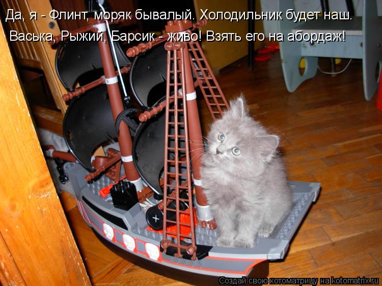 Котоматрица: Да, я - Флинт, моряк бывалый. Холодильник будет наш. Васька, Рыжий, Барсик - живо! Взять его на абордаж!