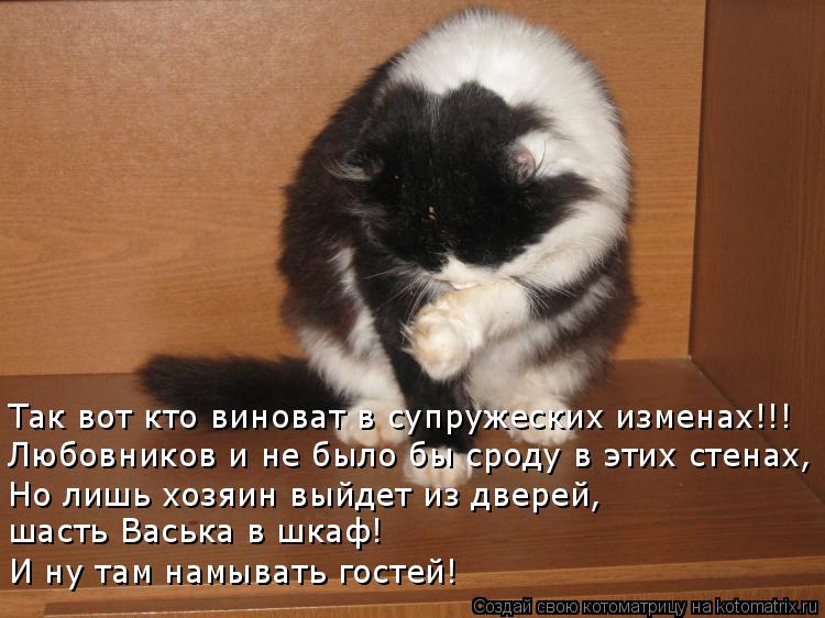 Так вот кто виноват в супружеских изменах!!! Любовников и не было бы сроду в этих стенах, Но лишь хоз... Котоматрица: Так вот кто виноват в супружеских изменах!!! Любовников и не было бы сроду в этих стенах, Но лишь хозяин выйдет из дверей, шасть Васька в шкаф!