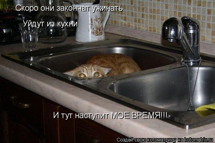 Котоматрица: Скоро они закончат ужинать Уйдут из кухни И тут наступит МОЕ ВРЕМЯ!!!