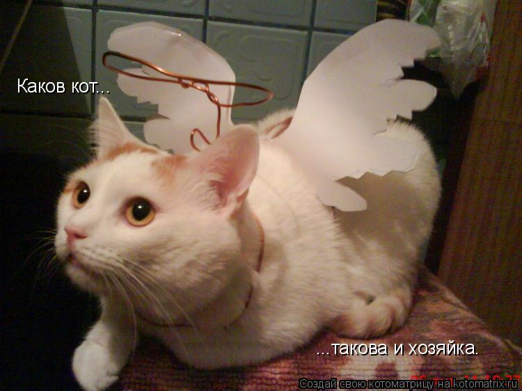 Котоматрица: Каков кот... ...такова и хозяйка.