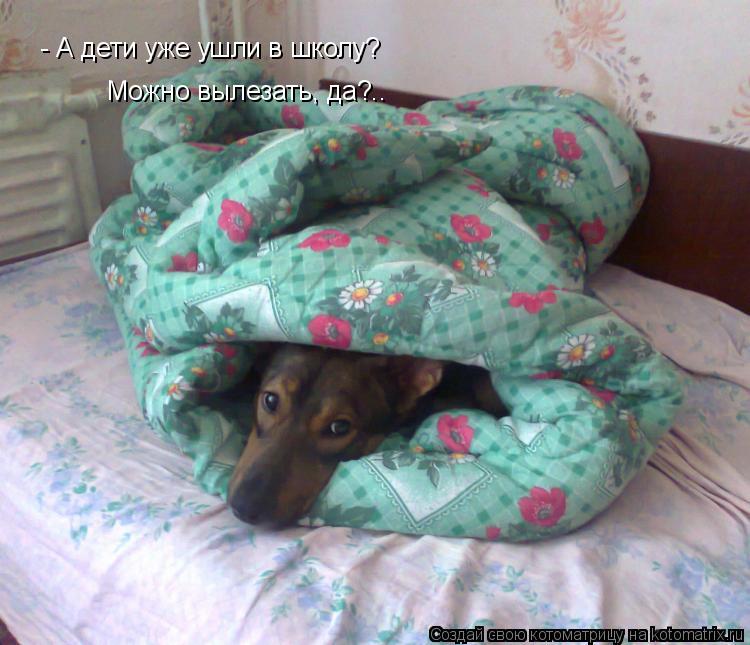 Котоматрица: - А дети уже ушли в школу? Можно вылезать, да?..