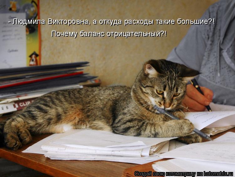 Котоматрица: - Людмила Викторовна, а откуда расходы такие большие?! Почему баланс отрицательный?!