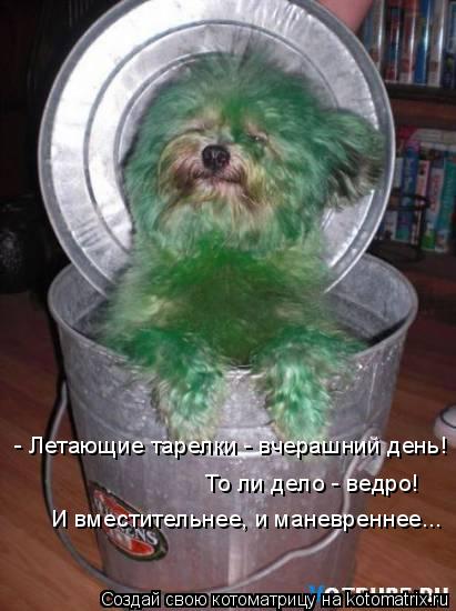 Котоматрица: - Летающие тарелки - вчерашний день! То ли дело - ведро!  И вместительнее, и маневреннее...