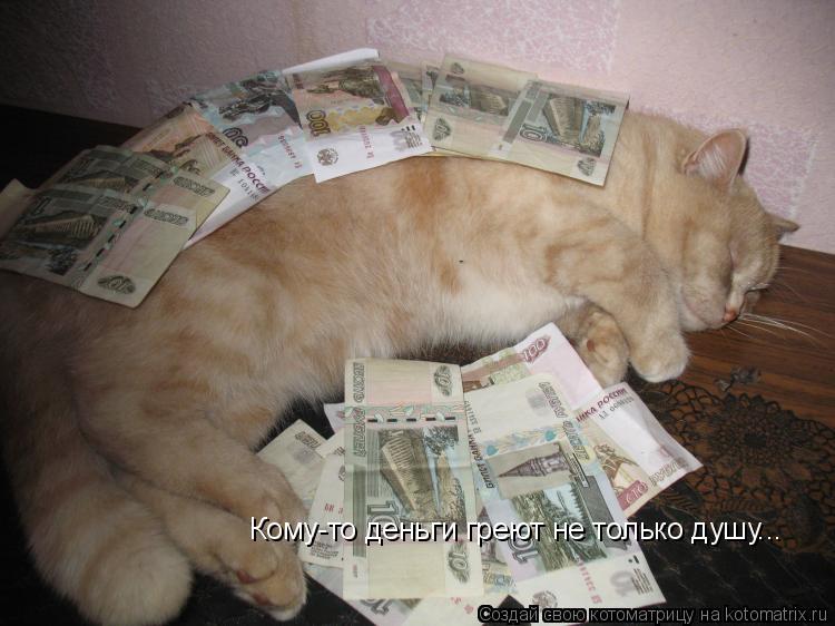 Котоматрица: Кому-то деньги греют не только душу...