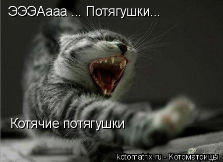 Котоматрица: ЭЭЭАааа ... Потягушки...  Котячие потягушки