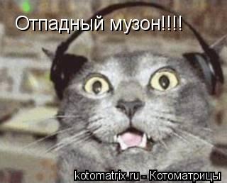 Отпадный музон!!!!... Котоматрица: Отпадный музон!!!!