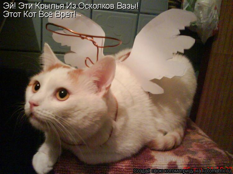 Эй! Эти Крылья Из Осколков Вазы! Этот Кот Всё Врёт!... Котоматрица: Эй! Эти Крылья Из Осколков Вазы! Этот Кот Всё Врёт!