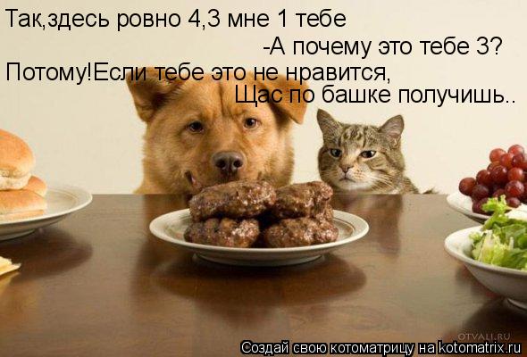 Котоматрица: Так,здесь ровно 4,3 мне 1 тебе -А почему это тебе 3? Потому!Если тебе это не нравится, Щас по башке получишь..