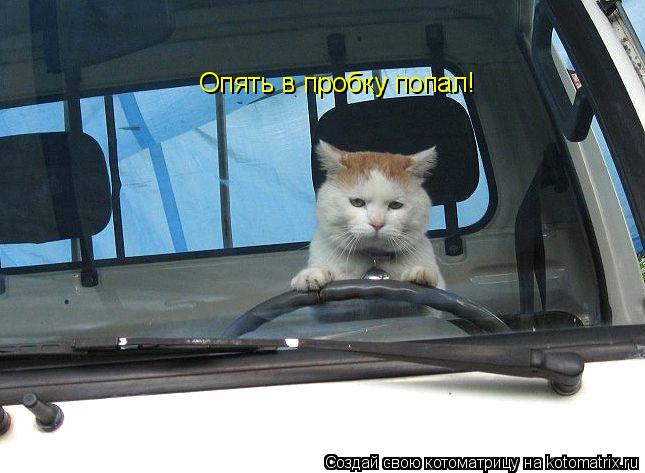 Опять в пробку попал!... Котоматрица: Опять в пробку попал!