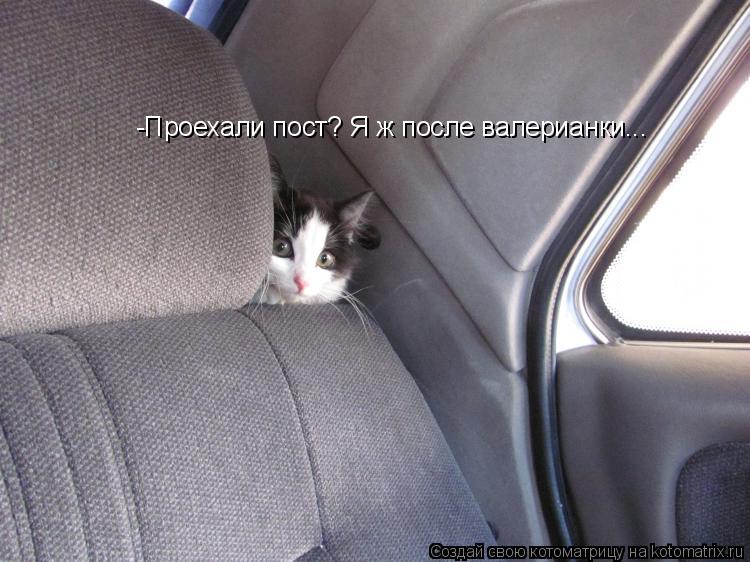 Котоматрица: -Проехали пост? Я ж после валерианки...