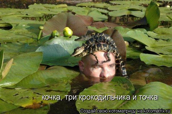 Котоматрица: кочка, три крокодильчика и точка