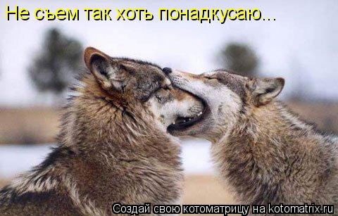 Котоматрица: Не съем так хоть понадкусаю...