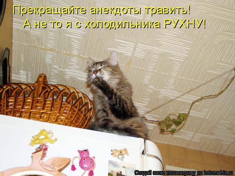 Прекращайте анекдоты травить! А не то я с холодильника РУХНУ!... Котоматрица: Прекращайте анекдоты травить! А не то я с холодильника РУХНУ!