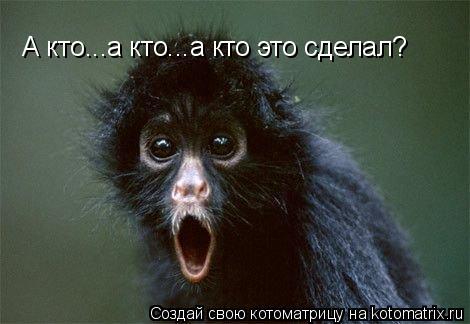 А кто...а кто...а кто это сделал?... Котоматрица: А кто...а кто...а кто это сделал?