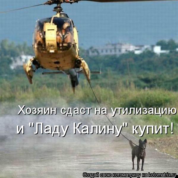 Хозяин сдаст на утилизацию, и "Ладу Калину" купит!... Котоматрица: Хозяин сдаст на утилизацию, и "Ладу Калину" купит!