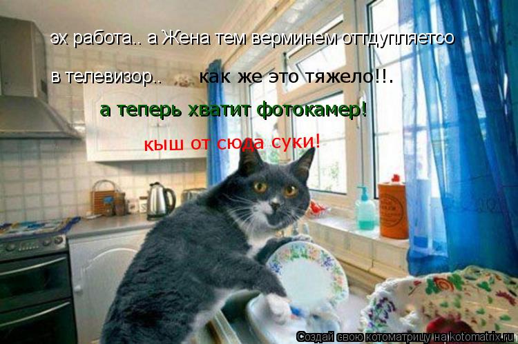 эх работа.. а Жена тем верминем оттдупляетсо в телевизор.. как же это тяжело!!. а теперь хватит фоток... Котоматрица: эх работа.. а Жена тем верминем оттдупляетсо в телевизор.. как же это тяжело!!. а теперь хватит фотокамер! кыш от сюда суки!