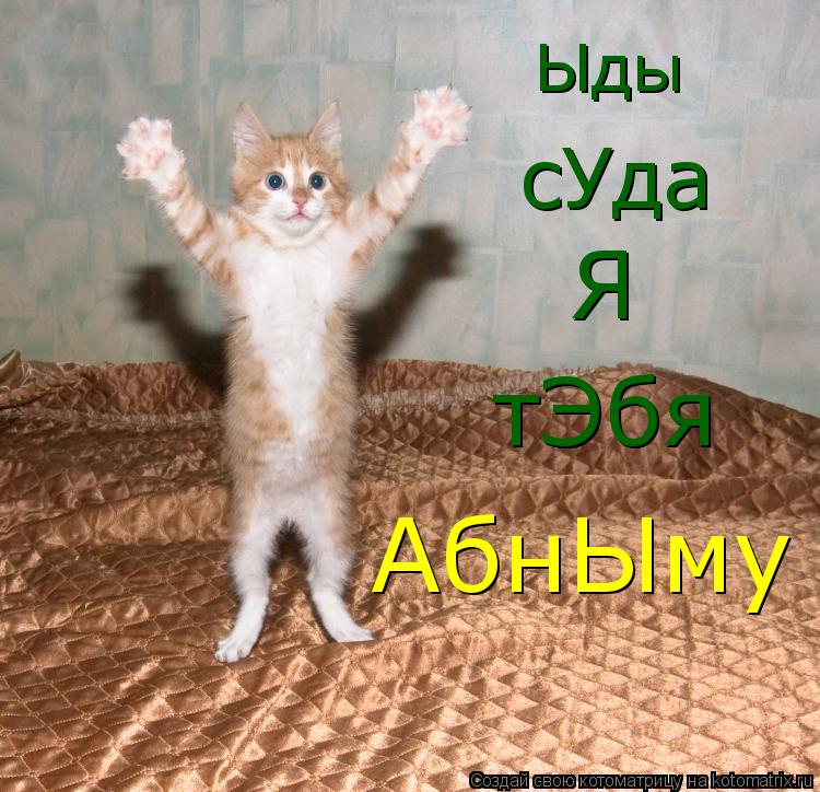 Ыды сУда Я тЭбя АбнЫму... Котоматрица: Ыды сУда Я тЭбя АбнЫму
