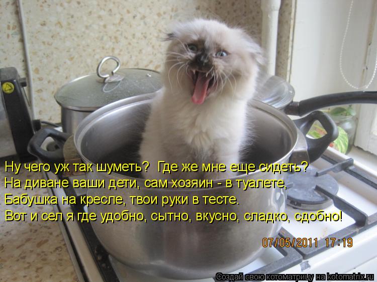 Ну чего уж так шуметь? Где же мне еще сидеть? На диване ваши дети, сам хозяин - в туалете, Бабуш... Котоматрица: Ну чего уж так шуметь? Где же мне еще сидеть? На диване ваши дети, сам хозяин - в туалете, Бабушка на кресле, твои руки в тесте. Вот и сел я гд