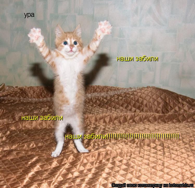 ура наши забили наши забили наши забили!!!!!!!!!!!!!!!!!!!!!!!!!!!!!!!!!!!... Котоматрица: ура наши забили наши забили наши забили!!!!!!!!!!!!!!!!!!!!!!!!!!!!!!!!!!!