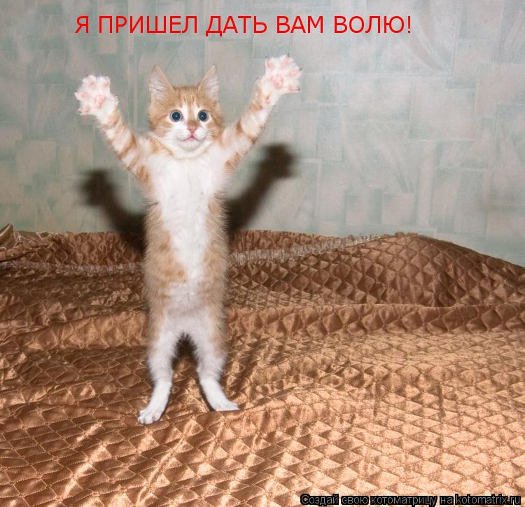 Я ПРИШЕЛ ДАТЬ ВАМ ВОЛЮ!... Котоматрица: Я ПРИШЕЛ ДАТЬ ВАМ ВОЛЮ!