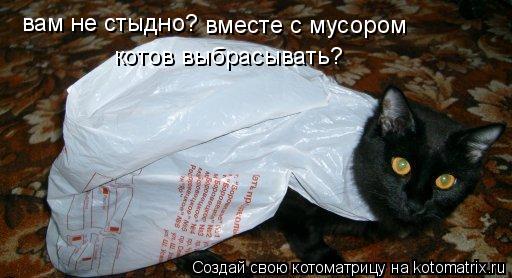 вам не стыдно? вместе с мусором котов выбрасывать?... Котоматрица: вам не стыдно? вместе с мусором котов выбрасывать?