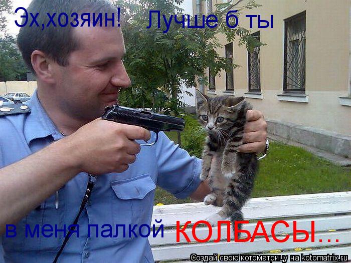 Эх,хозяин! в меня палкой КОЛБАСЫ... Лучше б ты... Котоматрица: Эх,хозяин! в меня палкой КОЛБАСЫ... Лучше б ты