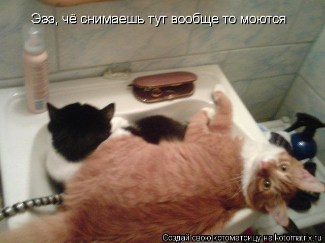 Эээ, чё снимаешь тут вообще то моются... Котоматрица: Эээ, чё снимаешь тут вообще то моются